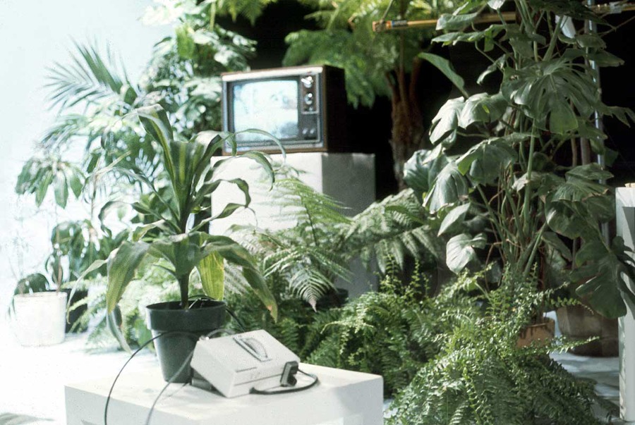 The Secret Life of Plants