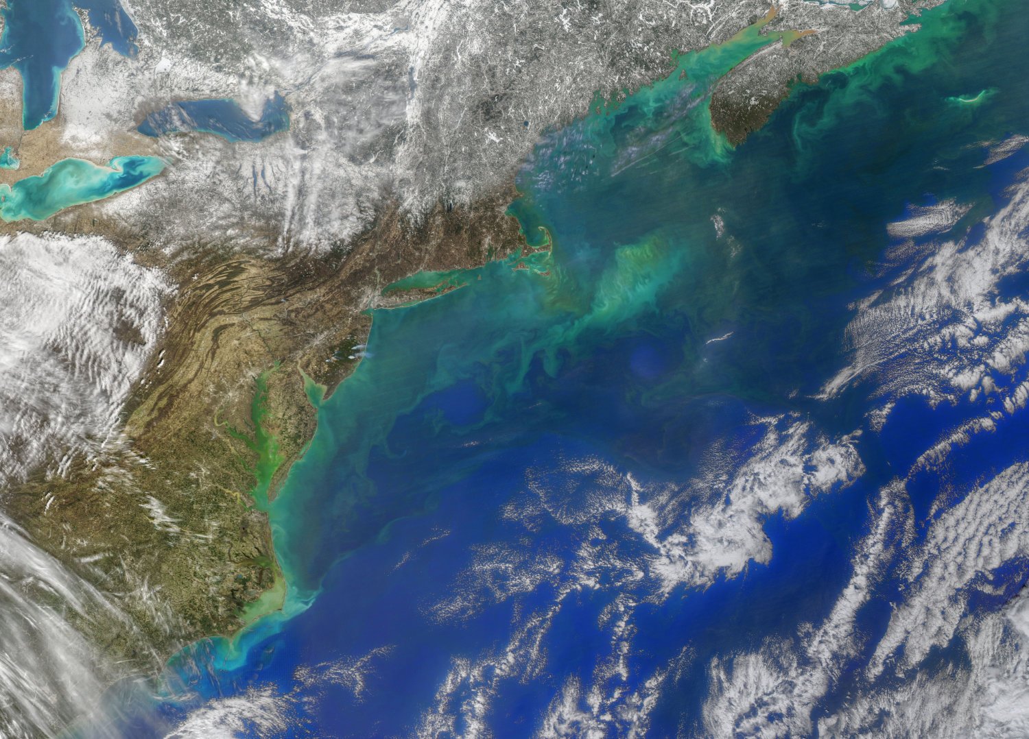 Spring in the northeast