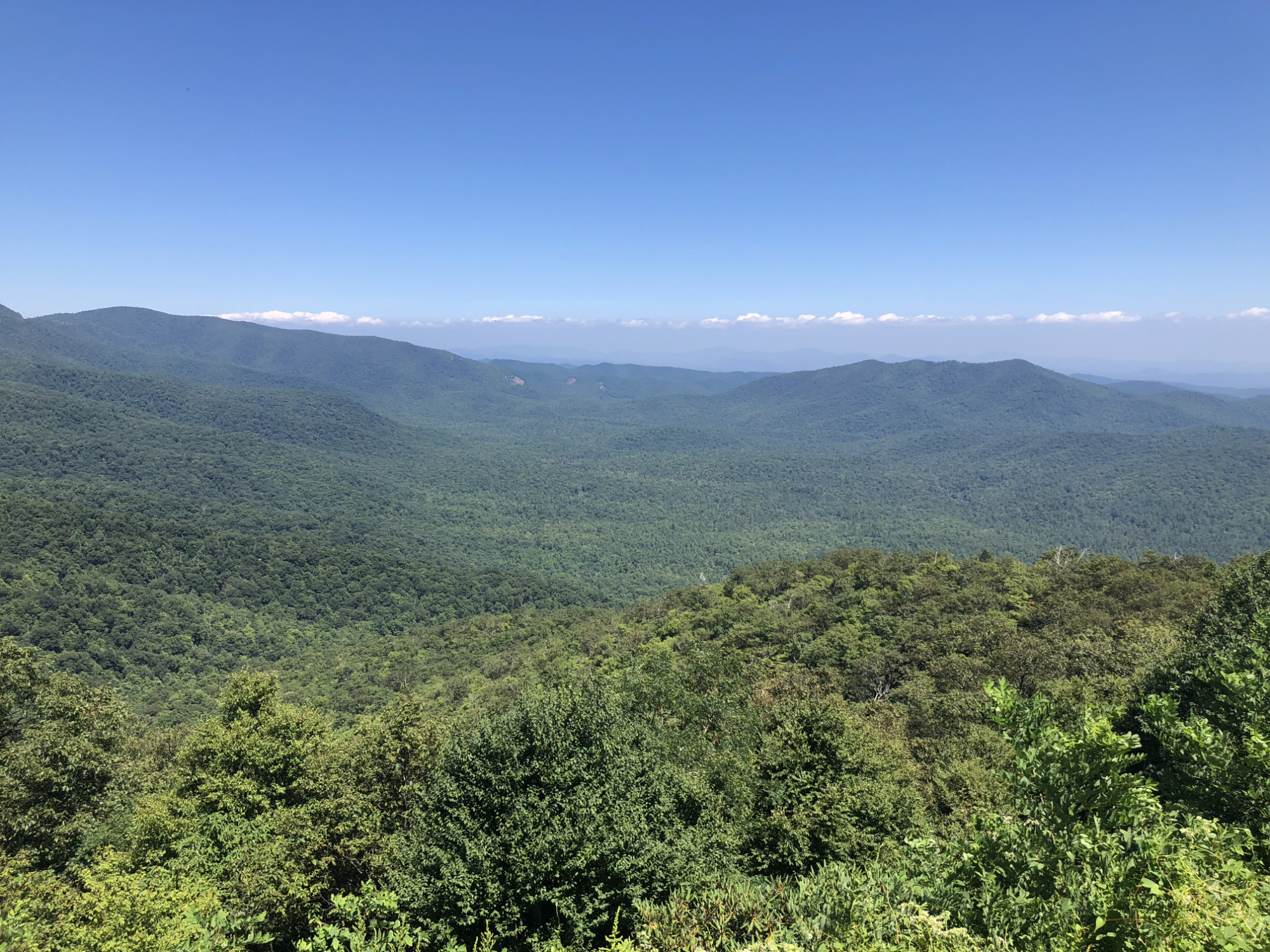 A view from the Blue Ridge Parkway
