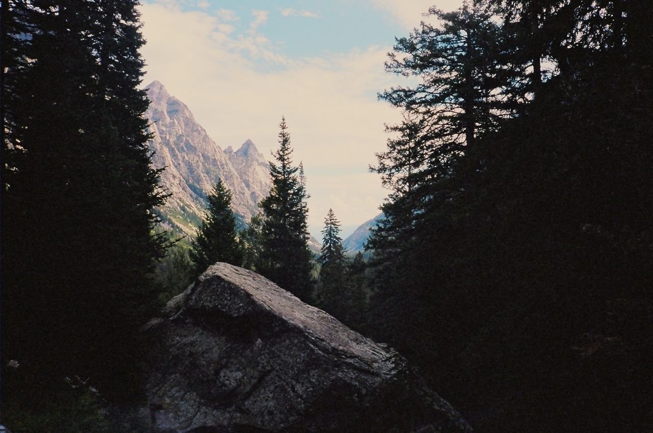 A canyon through a clearing