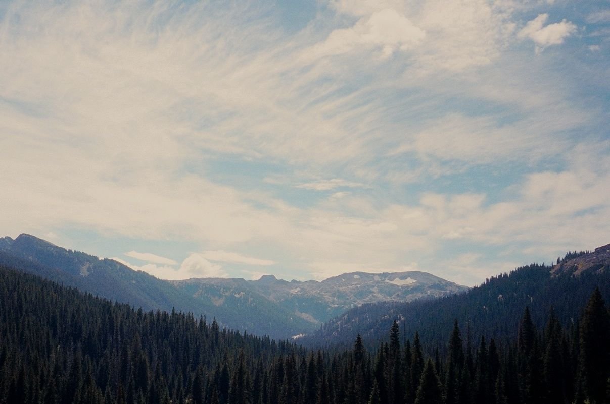 Sky, pines, and mountains